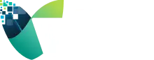 Vine Logo_full